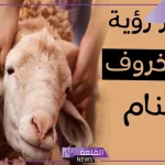 تفسير حلم رؤية ذبح الخروف في المنام لابن سيرين والنابلسي