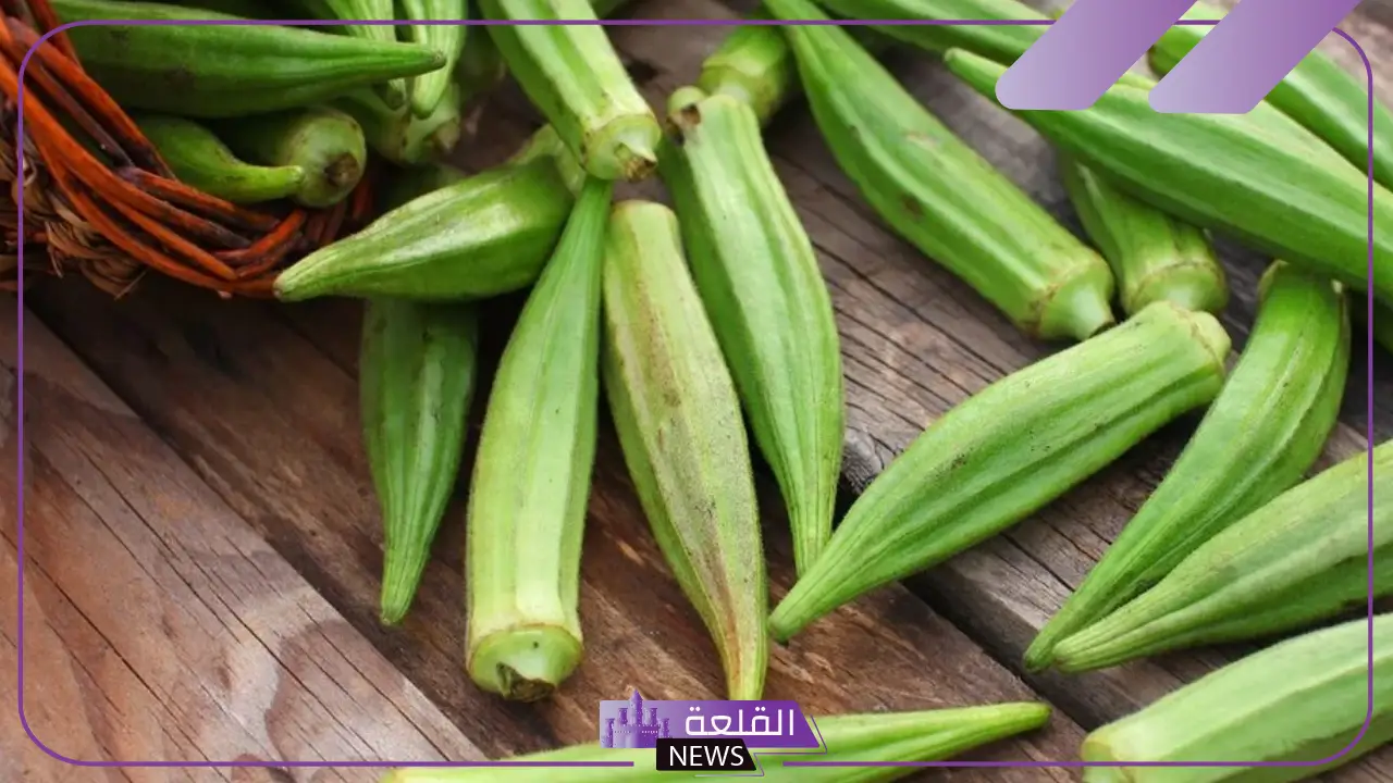 تفسير رؤية البامية في المنام وأكلها لابن سيرين.. رمز البامية المطبوخة 5 البامية في منام العزباء