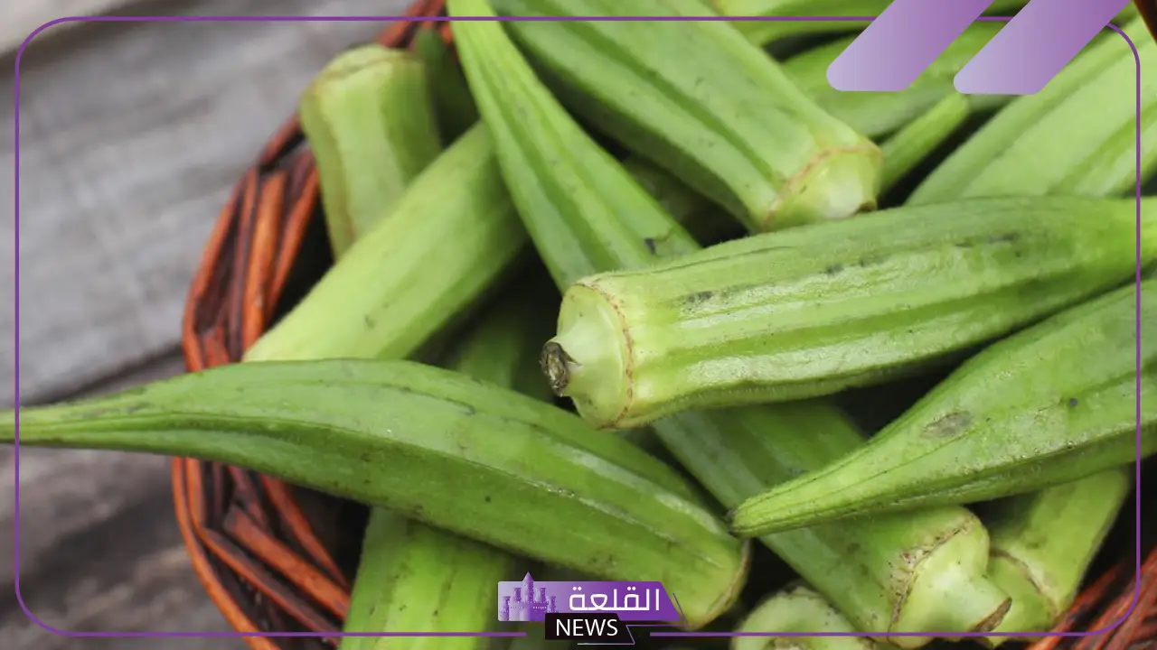 تفسير رؤية البامية في المنام وأكلها لابن سيرين.. رمز البامية المطبوخة 6 البامية في حلم المتزوجة