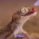 تفسير البرص في المنام لابن سيرين خير أم شر