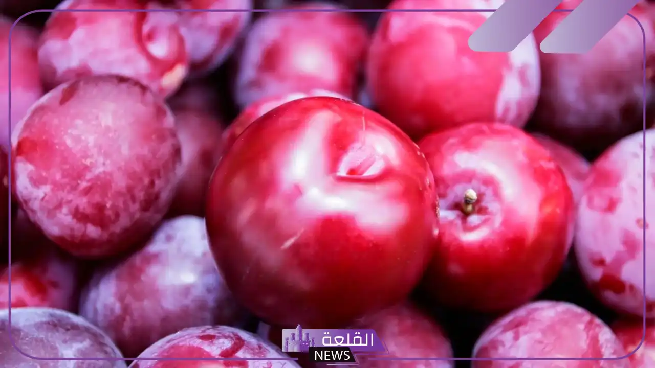 تفسير حلم رؤية البرقوق في المنام وأكله لابن سيرين 6 تفسير ابن سيرين حلم البرقوق