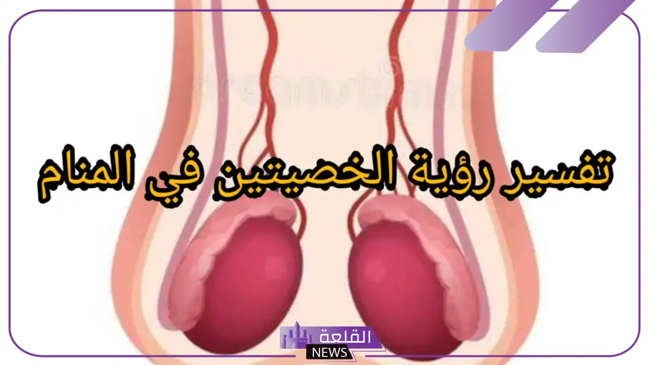 رؤية الخصيتين في المنام للمتزوجة والعزباء لابن سيرين 5 رؤية الخصيتين في منام العزباء