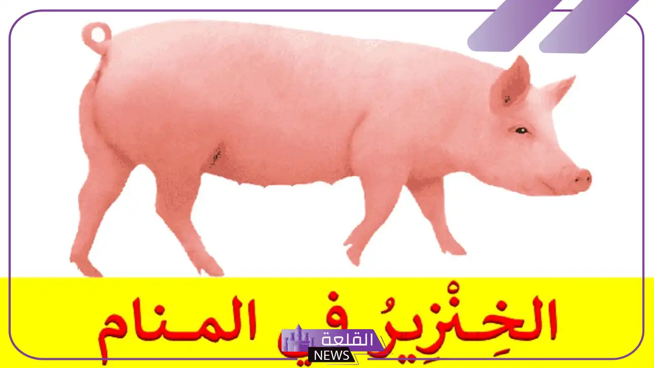 تفسير حلم رؤية الخنزير في المنام لابن سيرين. رمز الخنزير في المنام 6 الخنزير في حلم الحامل
