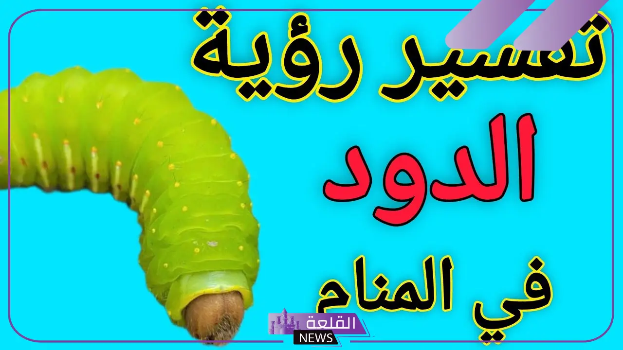 رؤية حلم الدود في الأكل في المنام لابن سيرين للرجل والعزباء 5 تفسير حلم الدود في الأكل