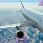 تفسير حلم رؤية السفر إلى الصين في المنام للحامل العزباء