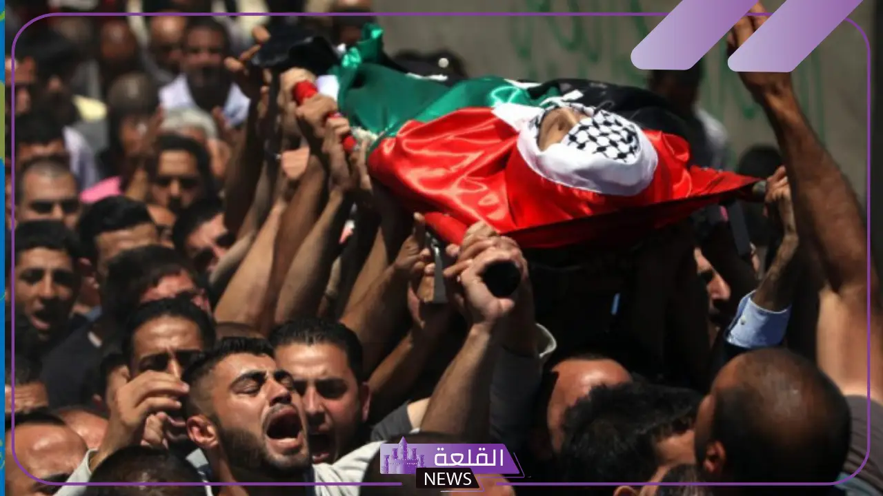 تفسير رؤية الشهيد في المنام لابن سيرين للعزباء وللمتزوجة 5 الشهيد في المنام للرجل