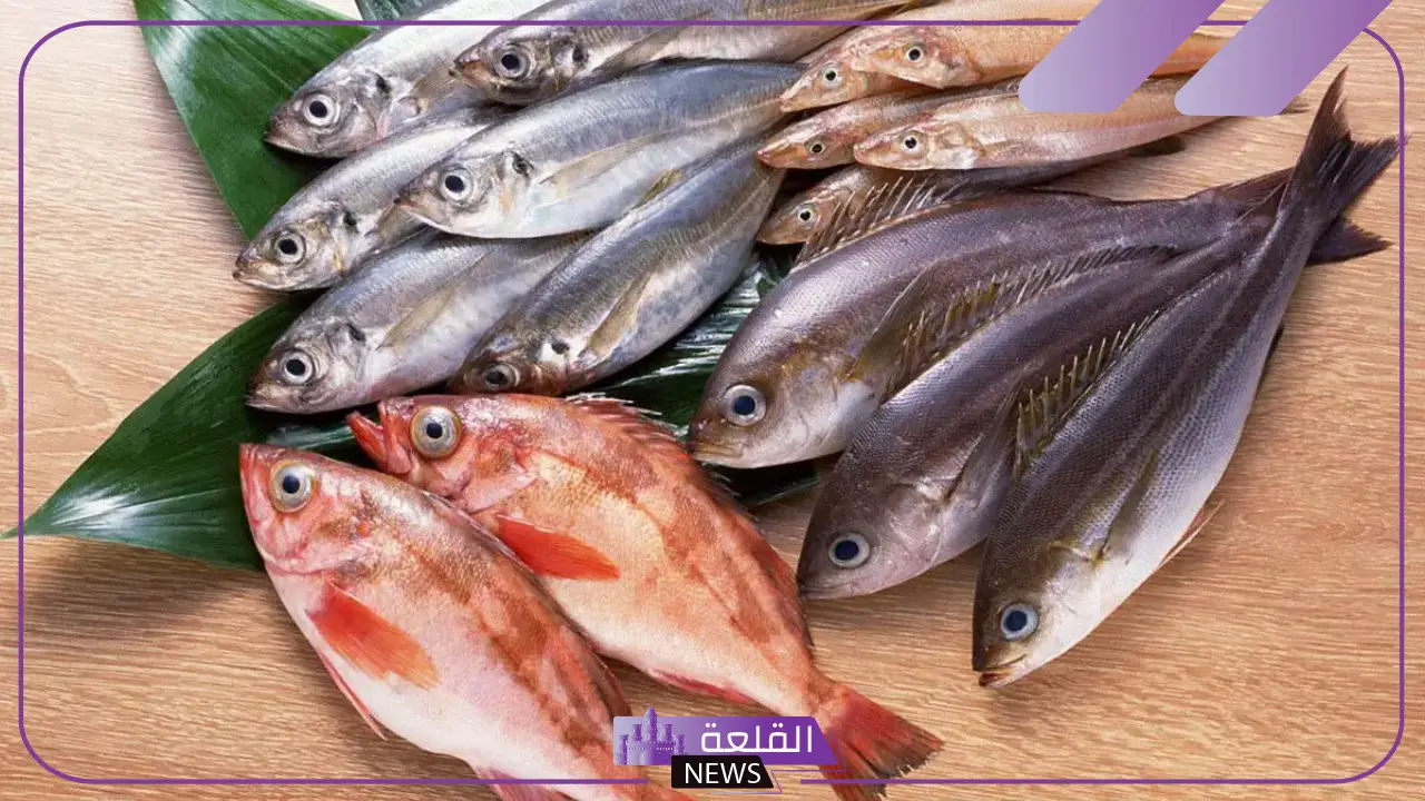 تفسير حلم رؤية المأكولات البحرية في المنام وأكلها لابن سيرين 6 تفسير حلم المأكولات البحرية