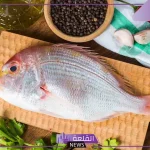 تفسير حلم رؤية المأكولات البحرية في المنام وأكلها لابن سيرين