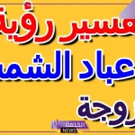 تفسير رؤية بزر عباد الشمس في الحلم لابن سيرين والنابلسي