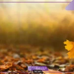 تفسير رؤية ورق الشجر في المنام وتساقطه لابن سيرين