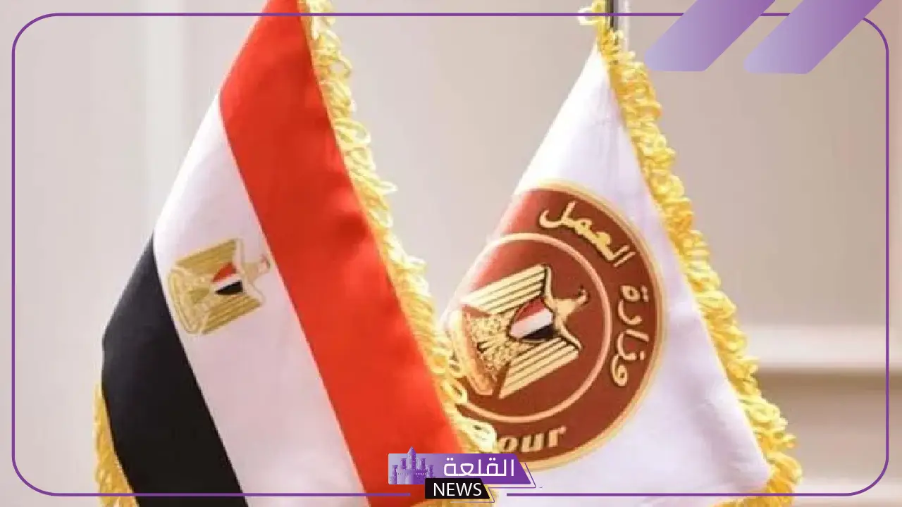 اغتنم الفرصة وسافر.. وزارة العمل تعلن فرص عمل ووظائف بالسعودية برواتب تبدأ من 8 آلاف ريال