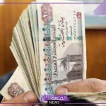 رسميًا.. بدء تطبيق تغيير سن المعاش المبكر في شهر يناير 2025