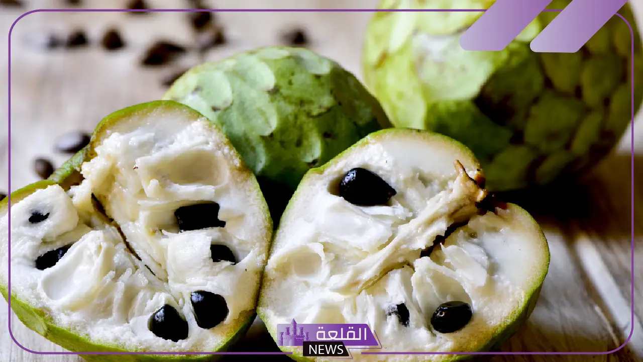 تدعم المناعة وتحارب السرطان.. أبرز أنواع الفاكهة الأكثر صحة في العالم تدعم المناعة وتحارب السرطان.. أبرز أنواع الفاكهة الأكثر صحة في العالم