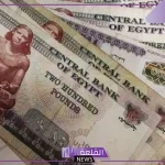 بعد قرار التأمينات.. موعد صرف معاشات شهر ديسمبر في مصر 2024