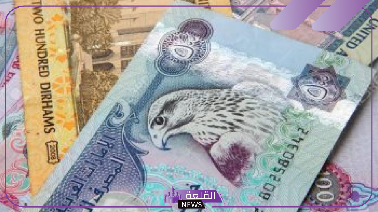 أسعار الصرافة.. سعر صرف الدرهم الإماراتي بالجنيه المصري اليوم الإثنين 4 نوفمبر 2024