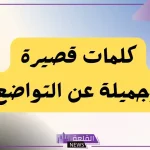أجمل عبارات عن التواضع.. من تواضع لله رفعه
