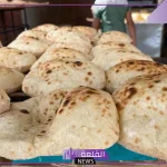 وزارة التموين.. قرارات جديدة بخصوص الخبز البلدي في مصر