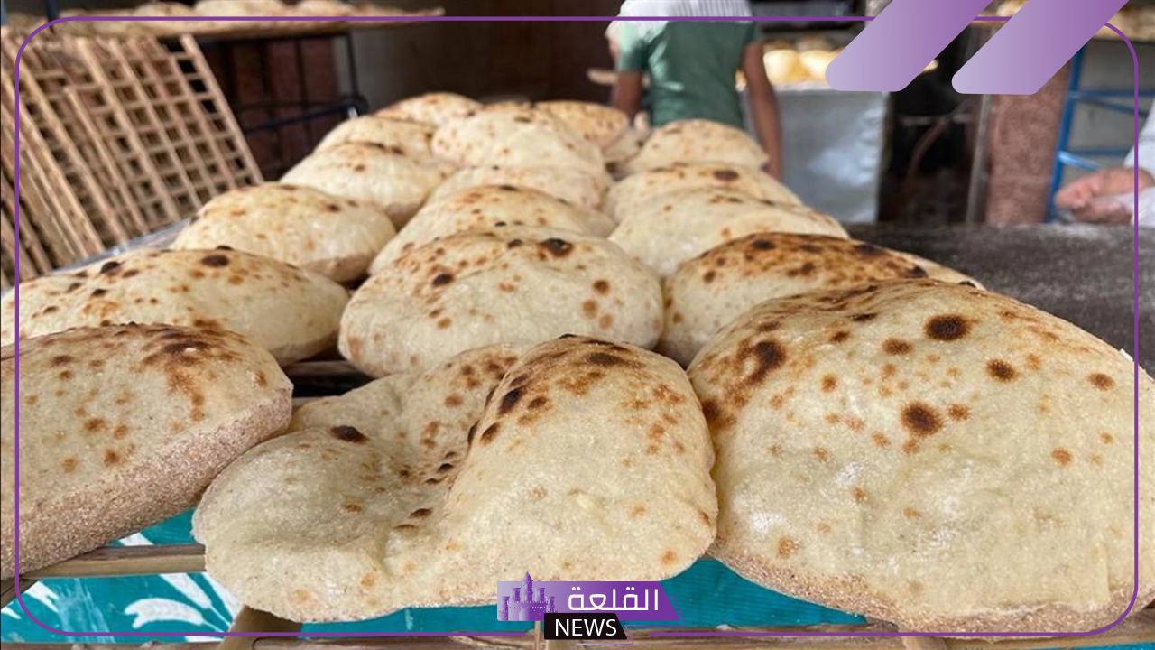 وزارة التموين.. قرارات جديدة بخصوص الخبز البلدي في مصر