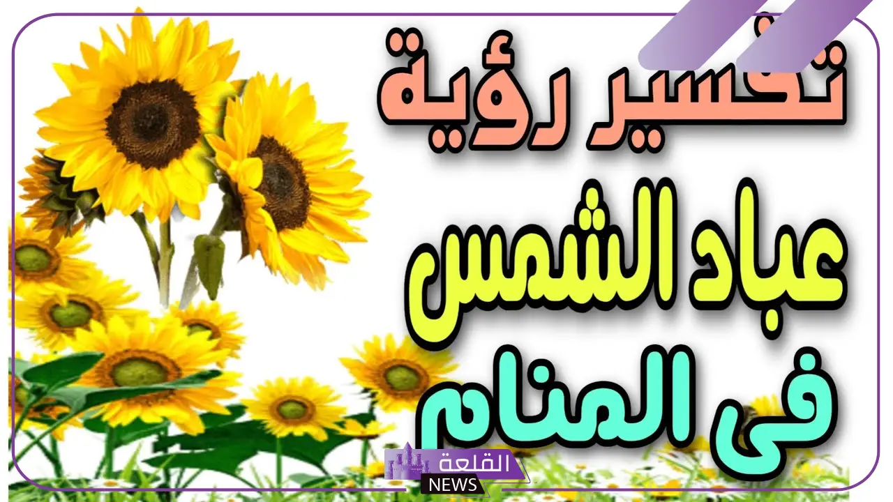 تفسير رؤية بزر عباد الشمس في الحلم لابن سيرين للمتزوجة 6 تفسير رؤية بزر عباد الشمس لابن سيرين