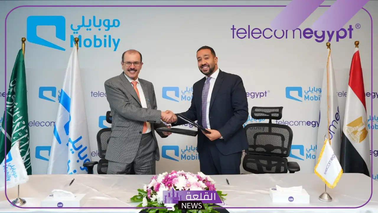 شركة المصرية للاتصالات.. البدء بإنزال أول كابل بحري للربط بين السعودية ومصر