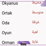 أشهر كلمات تركية عليك أن تتعلمها بمعانيها