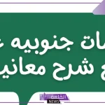 كلمات جنوبيه قديمة ومصطلحات أهل الجنوب بمعانيها