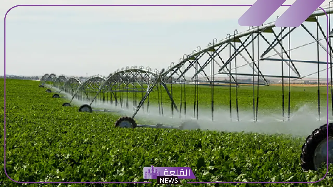 قوانين اللائحة الجديدة.. لا يحق تشغيل العامل الزراعي تشغيلًا فعليًا خلال اليوم الواحد لأكثر من 8 ساعات 5 تعرف على لائحة العمل الجديدة التي تخص العامل الزراعي