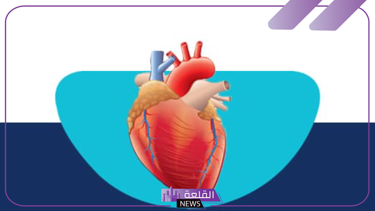 واظب عليه يوميًا.. مشروب يقوي عضلة القلب ويحسن الصحة العامة