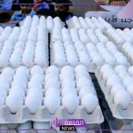 المنافس الأبرز للبلدي.. معلومات عن البيض التركي بعد قرار استيراده من الخارج