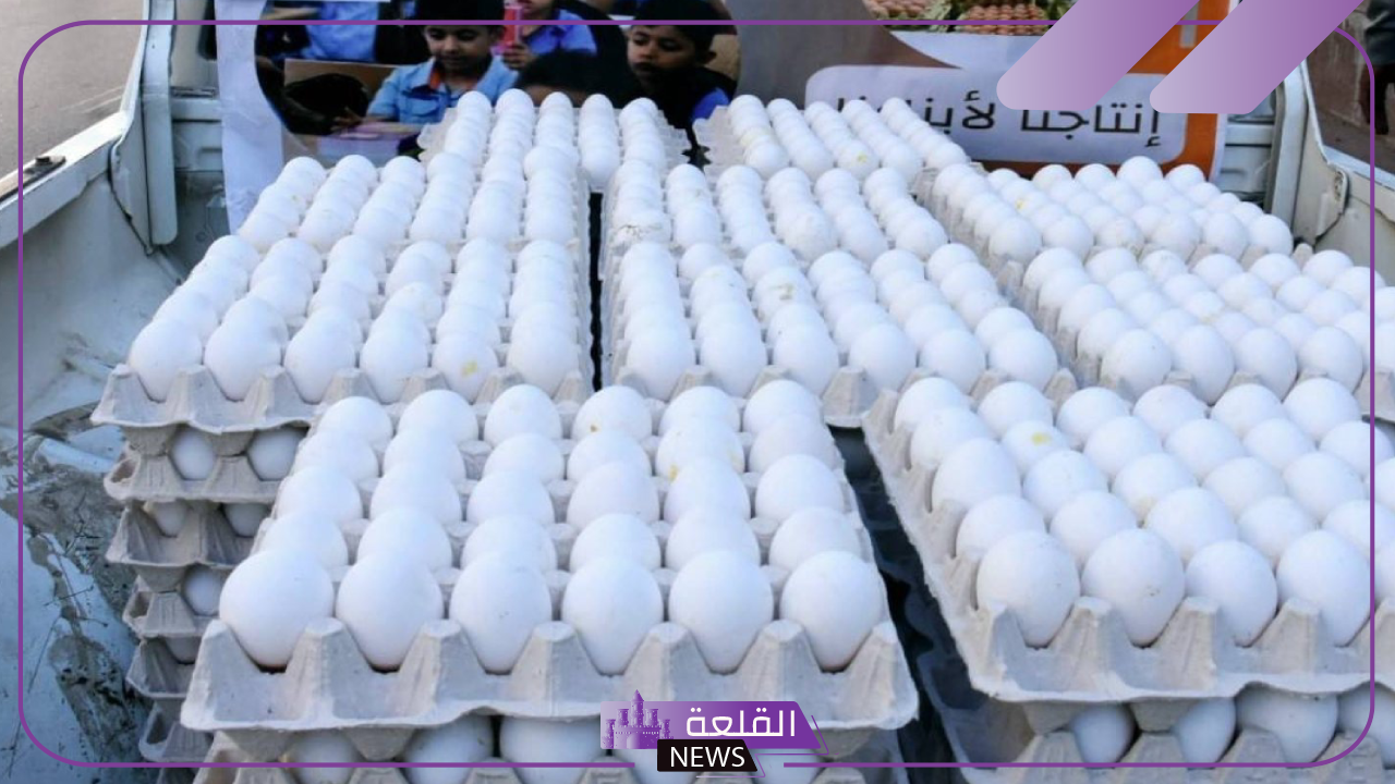 المنافس الأبرز للبلدي.. معلومات عن البيض التركي بعد قرار استيراده من الخارج