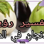تفسير رؤية الباذنجان في المنام وأكله لابن سيرين