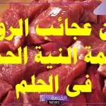 تفسير رؤية إعطاء اللحم النيء في المنام لابن سيرين