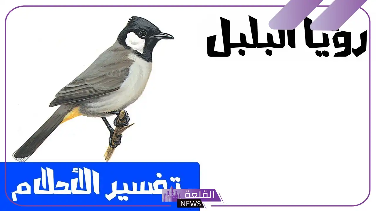 تفسير رؤية البلبل في المنام لابن سيرين للعزباء والمتزوجة 6 تفسير حلم البلبل يطير