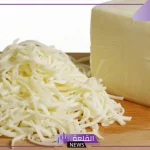 ما الأفضل الجبن الشيدر أم الجبن الموزاريلا؟ مقارنة لا تفوتك