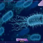الجلاجل.. الميكروبات تتسبب بقتل مليون شخص على الأقل سنويًا