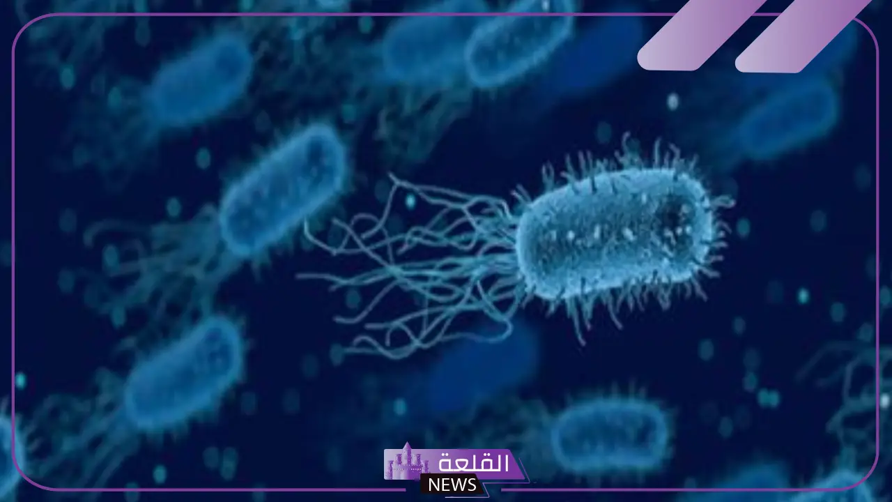 الجلاجل.. الميكروبات تتسبب بقتل مليون شخص على الأقل سنويًا