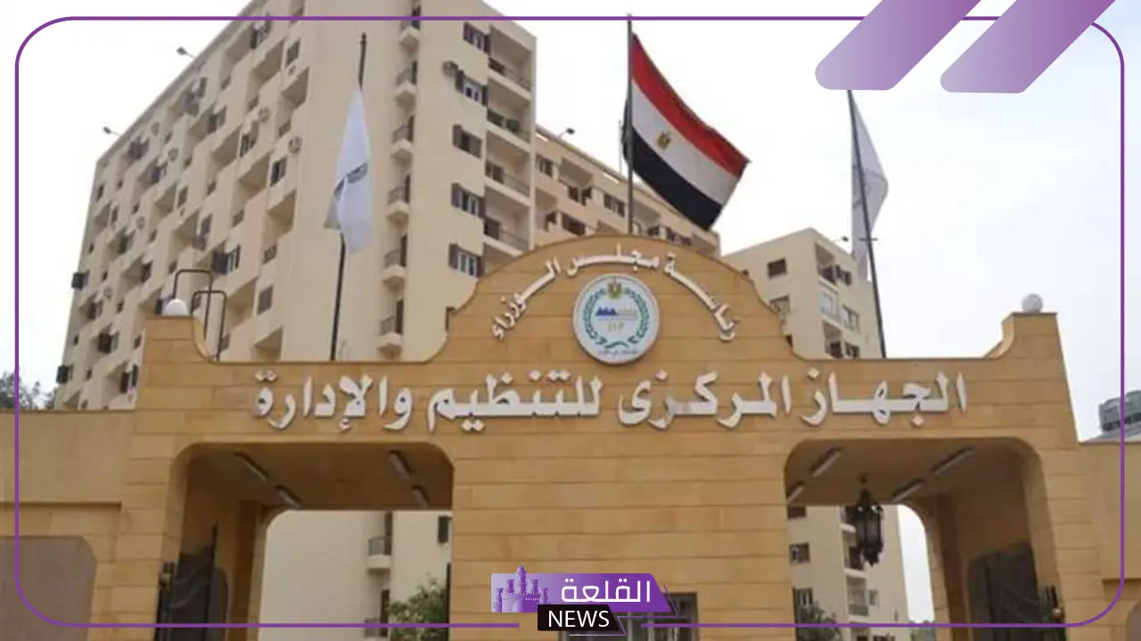 هيئة التنظيم والإدارة.. خبر سعيد لكل من تقدم على مسابقة وظيفة معلم مساعد لغة عربية هيئة التنظيم والإدارة.. خبر سعيد لكل من تقدم على مسابقة وظيفة معلم مساعد لغة عربية