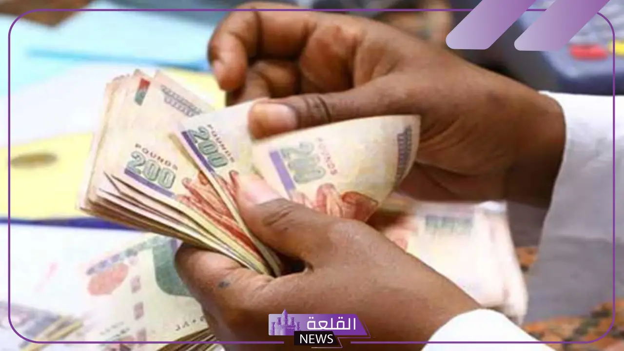 وفقًا للقانون.. نسبة تعويض البطالة في مصر 2024