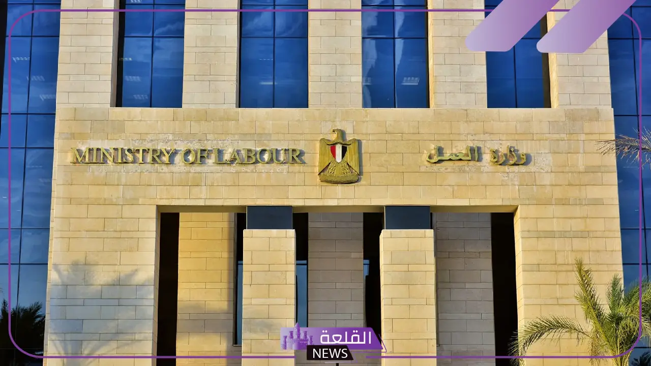 بـ 10 محافظات.. وزارة العمل تعلن 4599 وظيفة في 53 شركة داخل مصر 5 تعرف على تفاصيل وظائف وزارة العمل الجديدة