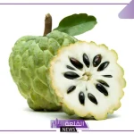 تدعم المناعة وتحارب السرطان.. أبرز أنواع الفاكهة الأكثر صحة في العالم
