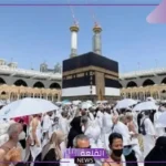 وزارة التضامن.. أسعار الحج السياحي وصلت نحو 395 ألف جنيه خلال هذا العام