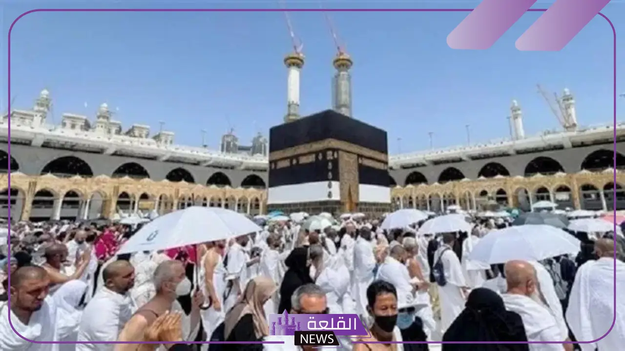 وزارة التضامن.. أسعار الحج السياحي وصلت نحو 395 ألف جنيه خلال هذا العام