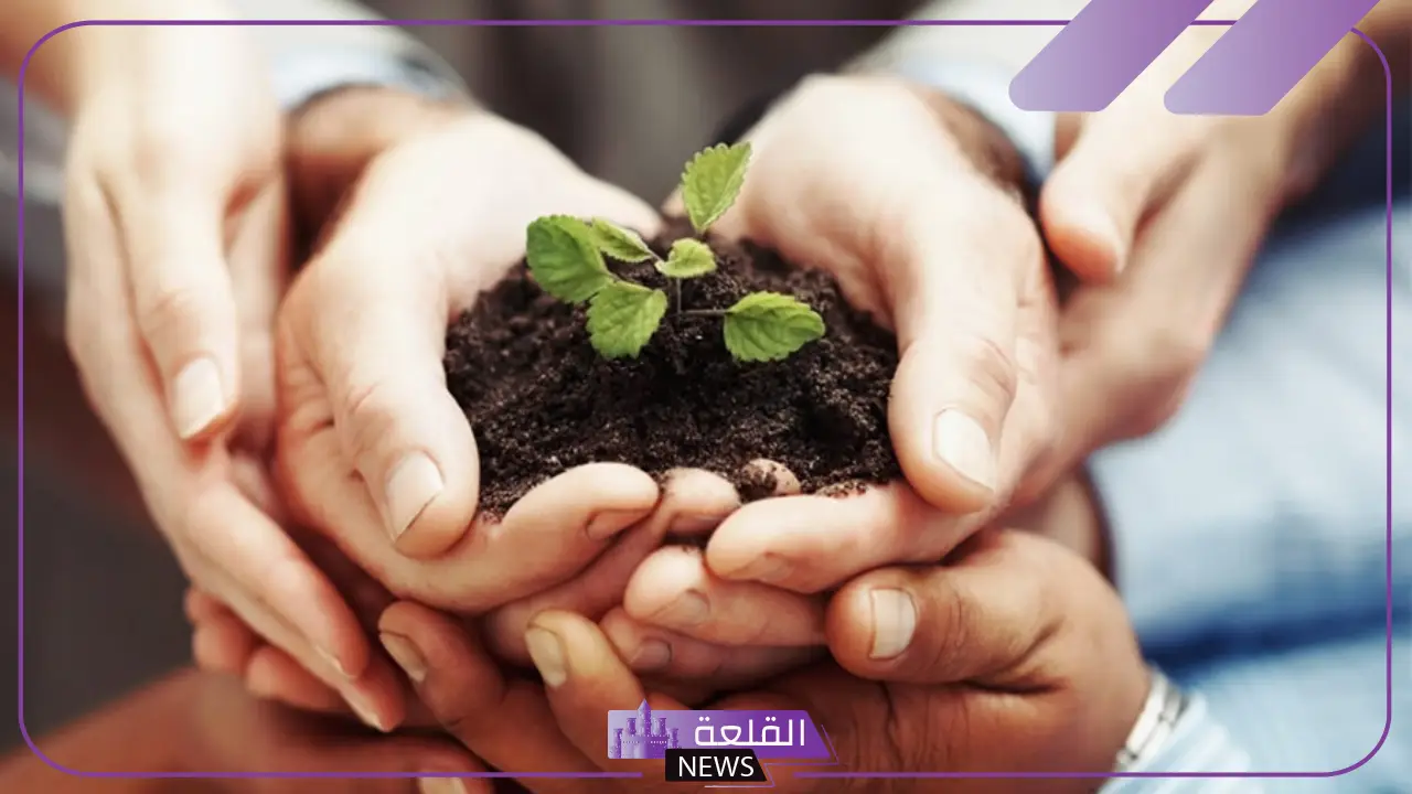 اعرف جميع الضوابط.. قانون العمل الأعلى يعلن شروط وقواعد التطوع 5 قانون العمل الأهلي