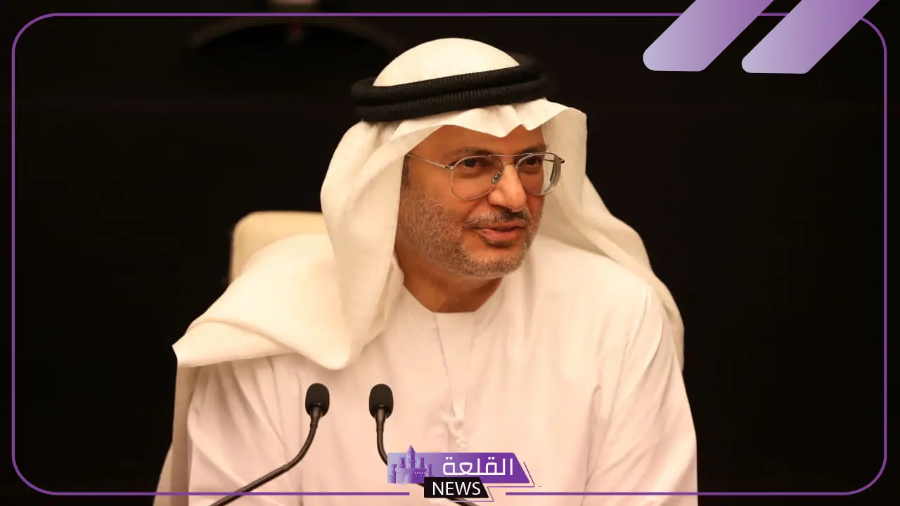 أنور قرقاش.. تأكيد على أهمية التعاون بين ولي العهد محمد بن سلمان والرئيس الإماراتي