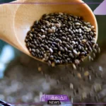 داوم عليها.. 8 فوائد تدفعك لتناول بذور الشيا في الشتاء