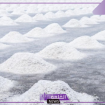 ابتكار جديد.. تقنية تسفر عن كشف احتياطات هائلة من الليثيوم بحقول النفط والبحر داخل المملكة