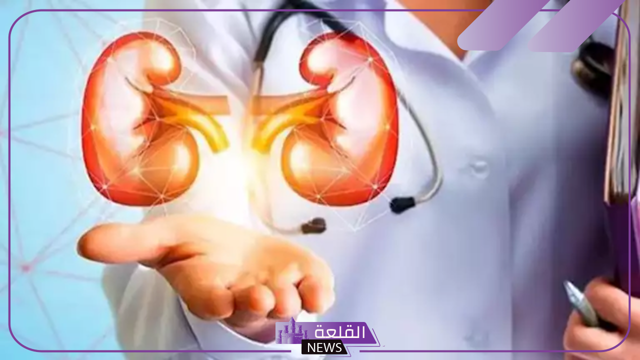 تناولها قبل وجبة الإفطار.. 4 مشروبات تنظف الكلى والكبد