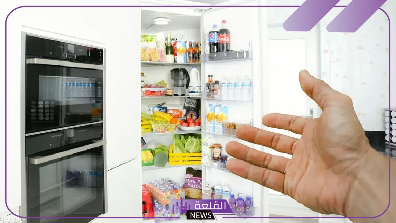 احذروا منها.. أخصائية تغذية تحذر من وضع أطعمة معينة داخل الثلاجة احذروا منها.. أخصائية تغذية تحذر من وضع أطعمة معينة داخل الثلاجة