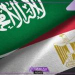 بشكل رسمي.. مصر والسعودية يقلصان زمن الإفراج الجمركي من ثلاث أيام إلى ثلاث ساعات