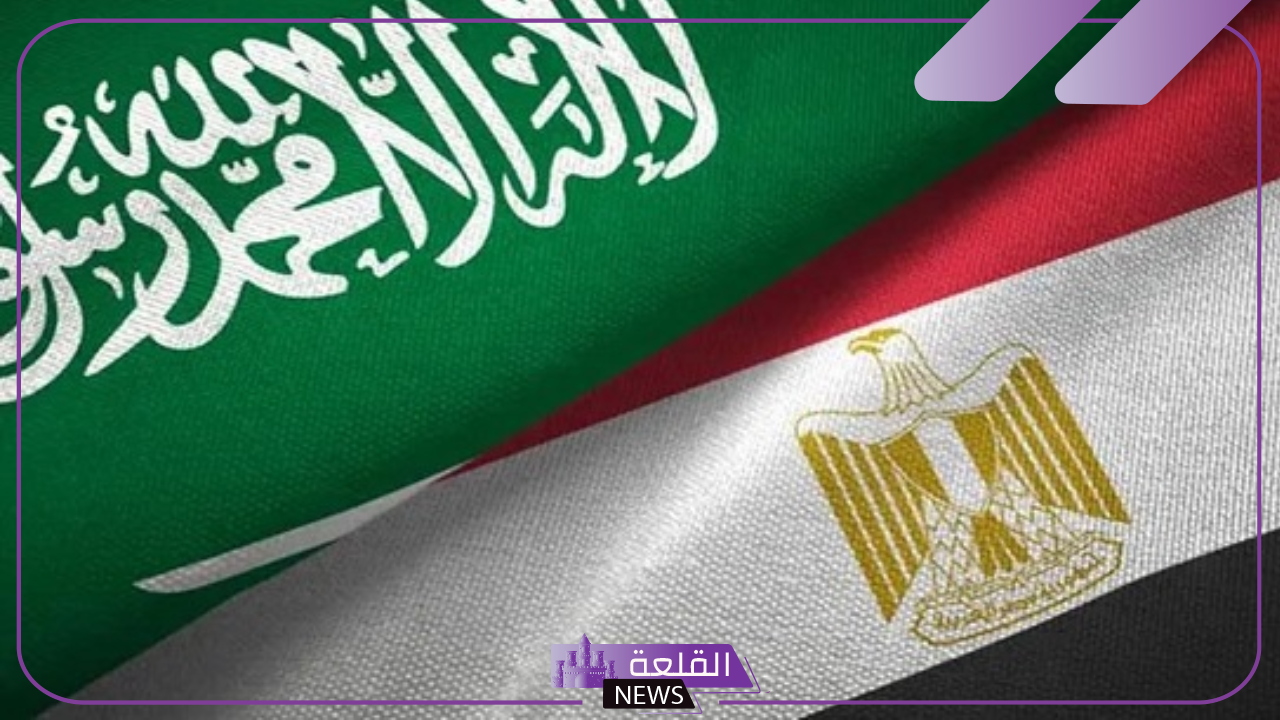 بشكل رسمي.. مصر والسعودية يقلصان زمن الإفراج الجمركي من ثلاث أيام إلى ثلاث ساعات